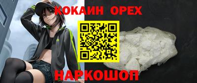 индика Дубна