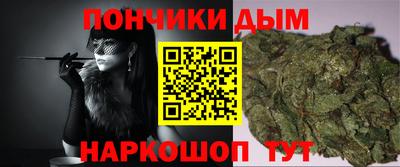 индика Дубна