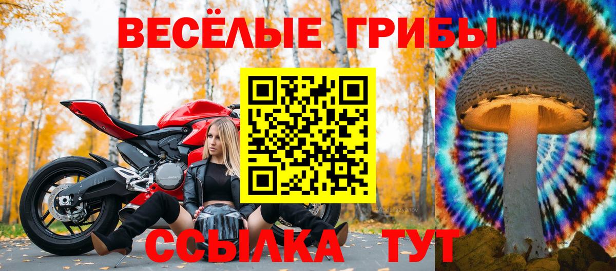 Донецк  Галлюциногенные грибы MAGIC MUSHROOMS  купить   Вход с VPN 