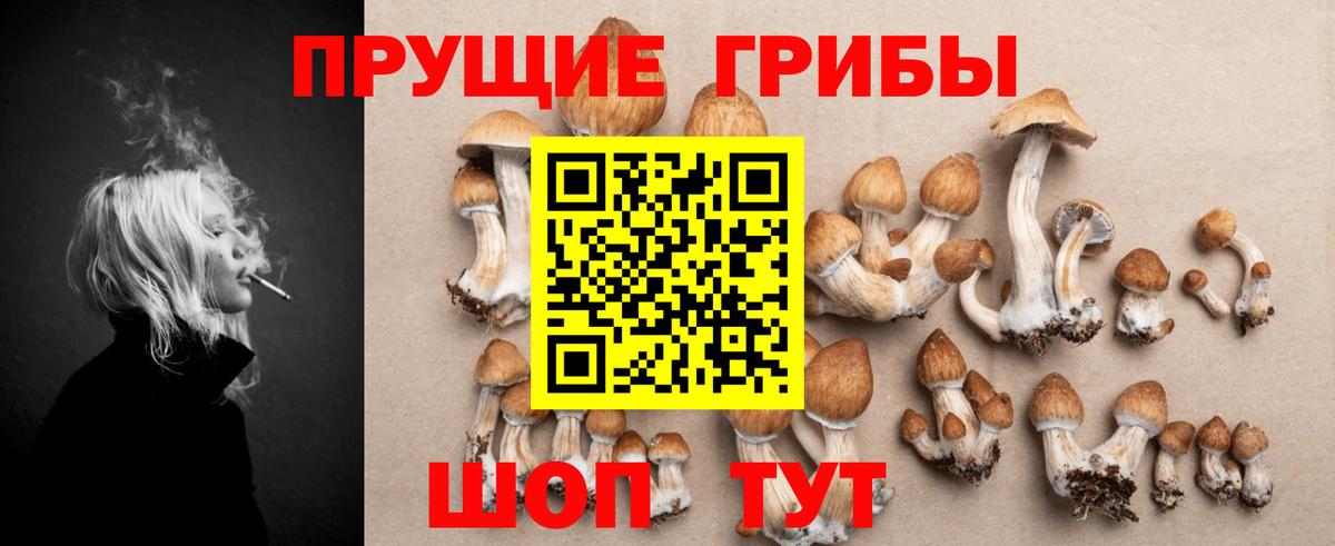 Псилоцибиновые грибы Psilocybe Донецк